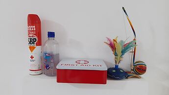 Lar Recife Olinda - Casa Inteira