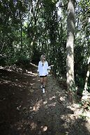 Almenat Embu das Artes, Tapestry Collection by Hilton