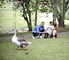 Almenat Embu das Artes, Tapestry Collection by Hilton