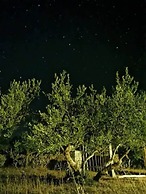 Lovely Cottage With sea Views in Selca, Croatia