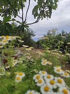 Lovely Cottage With sea Views in Selca, Croatia