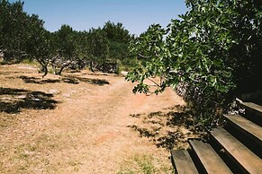 Lovely Cottage With sea Views in Selca, Croatia