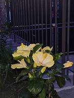 Room in B&B - B&b Villa Chiara Trappitello Taormina