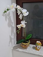 Room-b&b Villa Chiara Trappitello-taormi