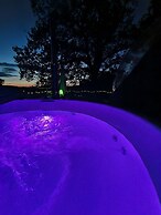 Les Bulles Perchées de Lartigue