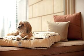 Thompson Atlanta - Buckhead, by Hyatt