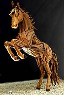 Kambaniru Beach Hotel & Resort