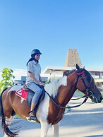 Kambaniru Beach Hotel & Resort