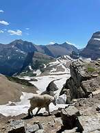 Mochilero Ostello Spiti