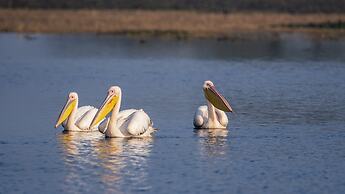 WelcomHeritage Cheetagarh Resort and Spa