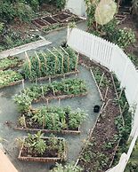 Long Bay Beach Resort