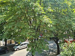 Artistic Tirana Blloku