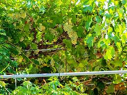 Romantic Apartment With big Garden and Grill