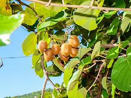 Romantic Apartment With big Garden and Grill