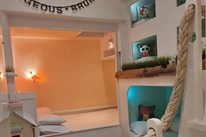 Quirky Seaside Family Cottage, Walk to the Waves!