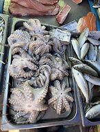 Sunset Modern Apt - Near Beach, Wifi & Cable TV