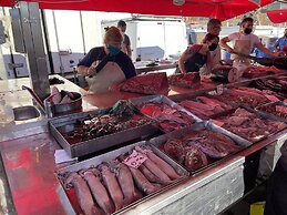 Sunset Modern Apt - Near Beach, Wifi & Cable TV