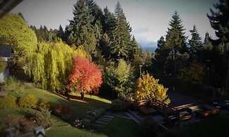 1BR Luxury Condos Aldea Andina