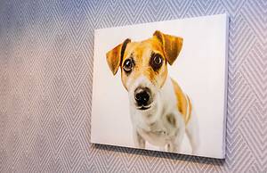 More Apartments na Estonskoy 37 k 6