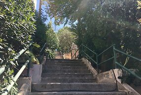 Beautiful Pedestrian