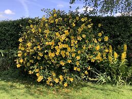 The Secret Hideaway, A Serene and Tranquil Escape