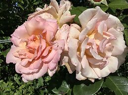 The Secret Hideaway, A Serene and Tranquil Escape