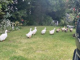 The Secret Hideaway, A Serene and Tranquil Escape