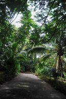 Tranquility Cove Apartments