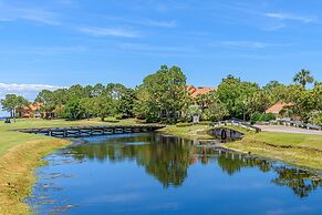 Amazing View 71 Vantage Point