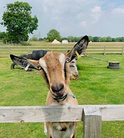 Private Glamping in a Vintage Caravan & Bell Tent