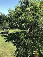 Charming 2-bed House in Kallithea