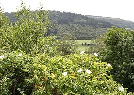 Fron Goch Farm