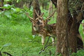 Aramness Gir National Park