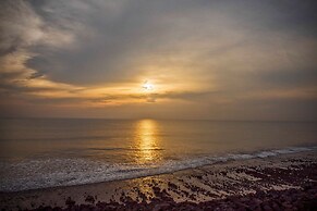 Aramness Gir National Park