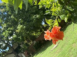 YanceyLargoEstate 2BR Villa w/Mountain Views by RedAwning