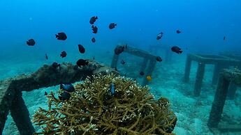 Naithonburi Beach Resort