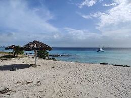 Rest, Work and fun in the Caribbean