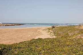 La Grande Propriété Étoile De Mer