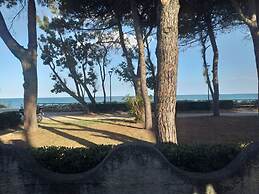 Room in B&B - Spacious Double Room Beside the sea