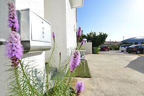 Beautiful 1-bed Apartment Kristijan Zadar