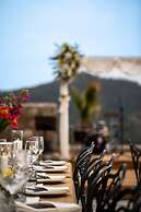 Marlo Ayvalik Adult Only +12