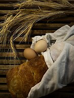 Marlo Ayvalik Adult Only +12