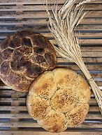 Marlo Ayvalik Adult Only +12