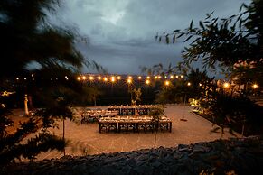 Marlo Ayvalik Adult Only +12