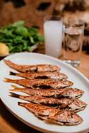 Marlo Ayvalik Adult Only +12