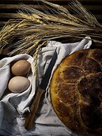 Marlo Ayvalik Adult Only +12