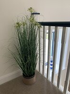 Traditional Farm House in the Old Head of Kinsale