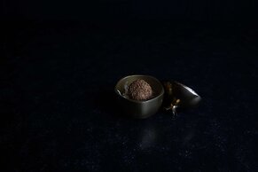 Radisson Resort and Spa Lonavala