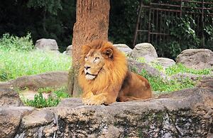 REF Matsuyama City Station by Vessel Hotels