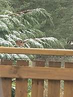 Beautiful 2 Bedroom Lodge With Stunning Views